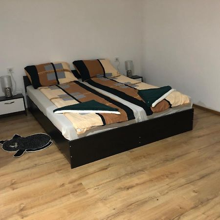 Pensiunea Petra Dumi Aninoasa Bagian luar foto